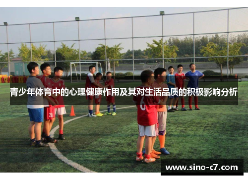 青少年体育中的心理健康作用及其对生活品质的积极影响分析