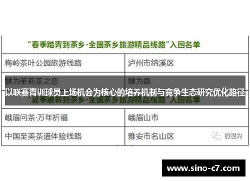 以联赛青训球员上场机会为核心的培养机制与竞争生态研究优化路径