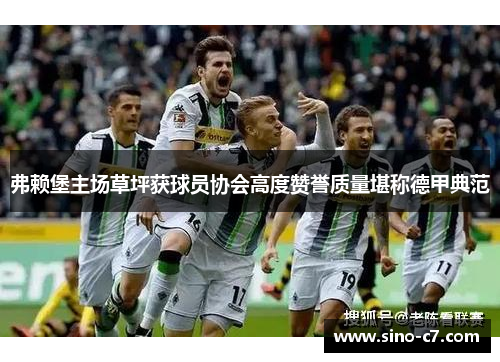 弗赖堡主场草坪获球员协会高度赞誉质量堪称德甲典范